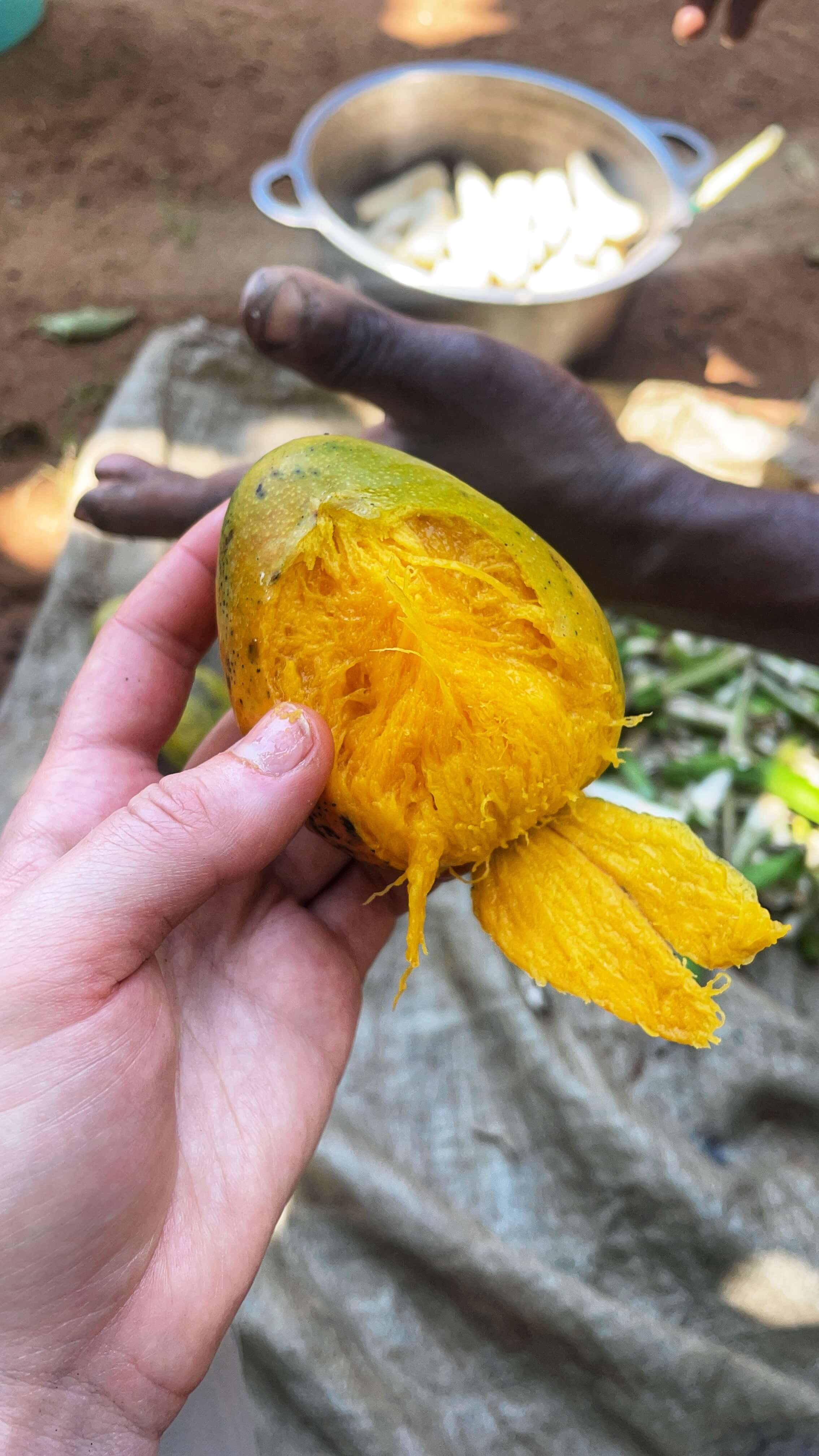 A mango, peeled and bitten, revealing the stringy yellow flesh beneath.