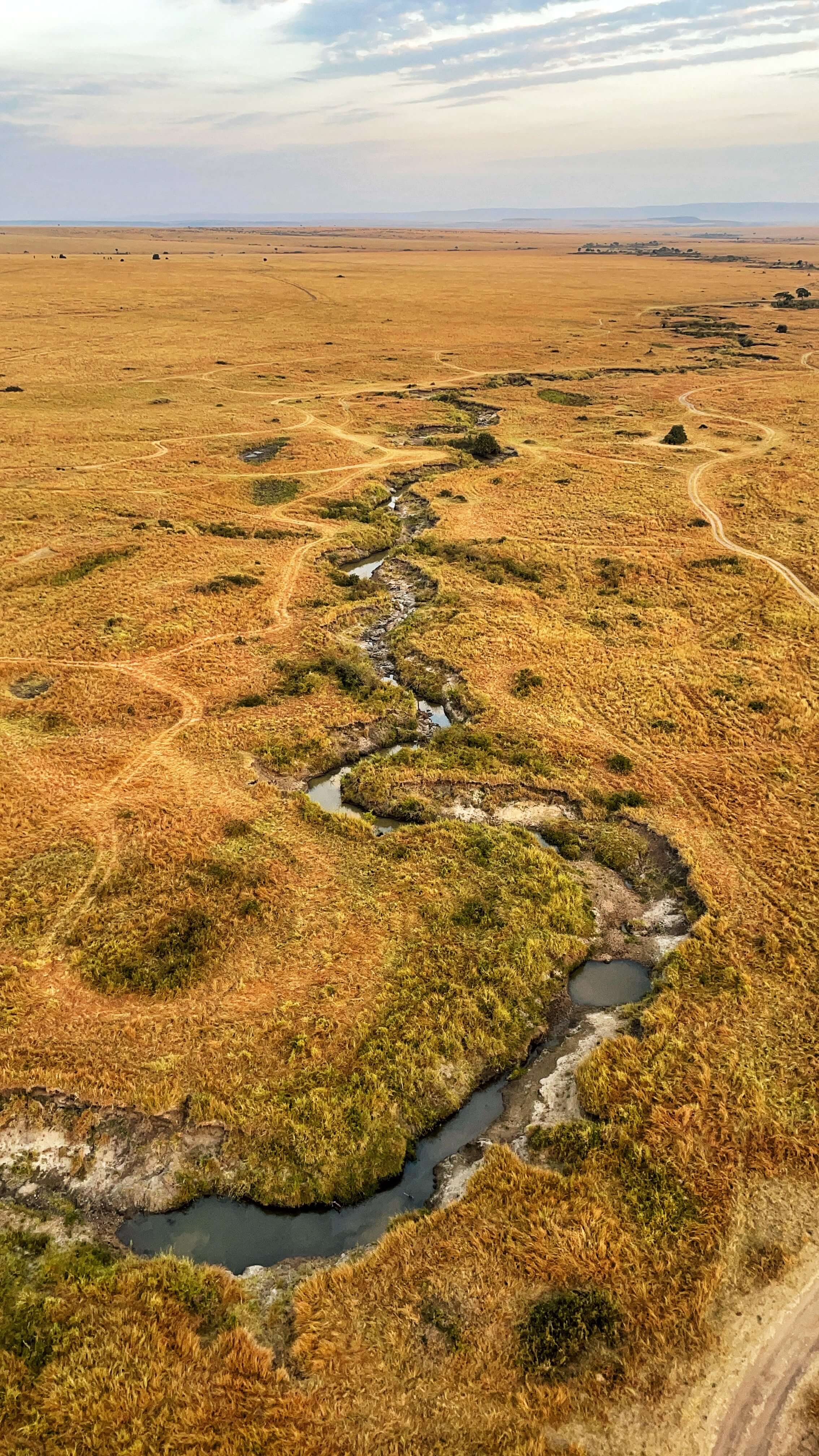 A river cuts through the yellow savannah in a diagonal ripple, making little "s" shapes as it moves.