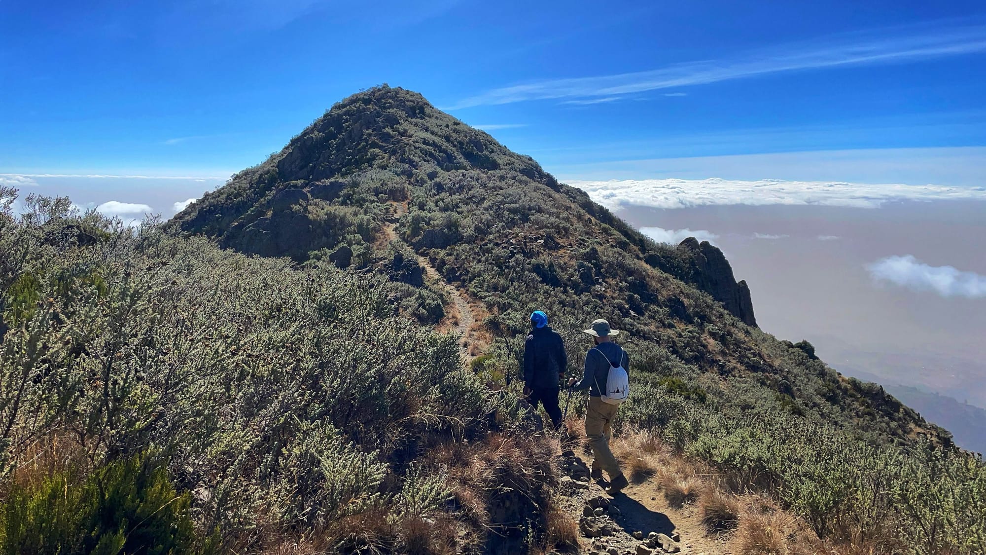 Two hikers on a dirt path, surrounded by green brush along a mountain peak on a blue sky day.