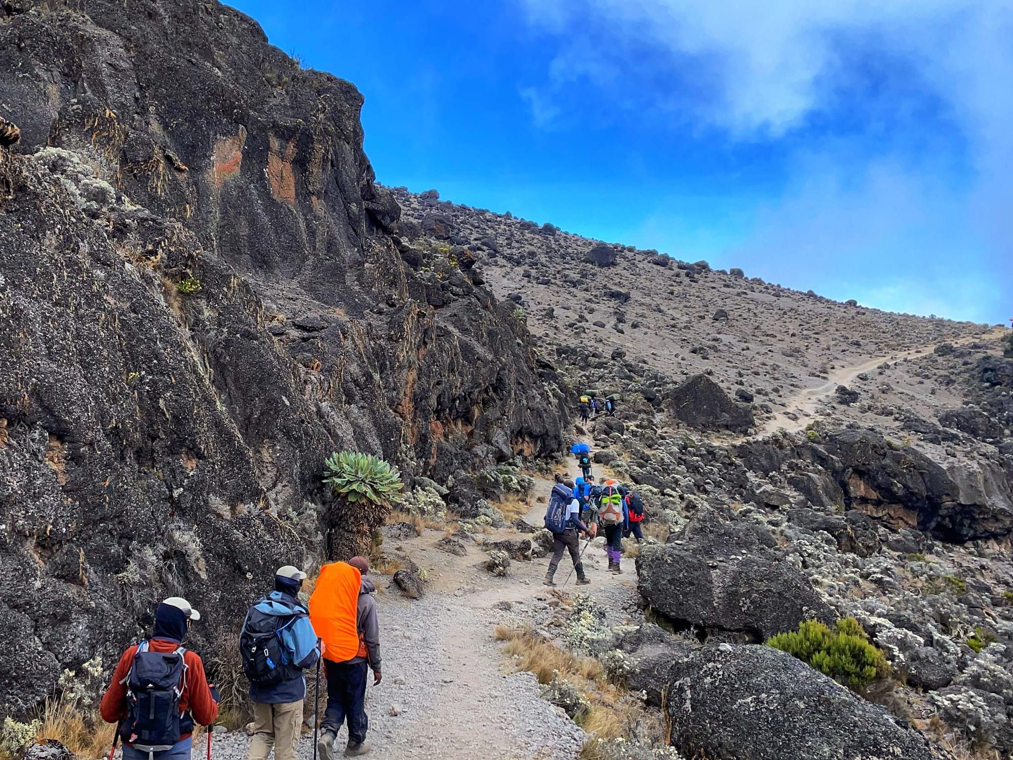 Hikers with poles walk uphill along a trail that passes big alpine boulders.