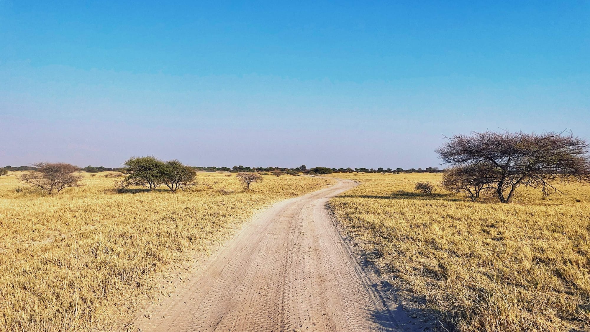 A Night on Botswana's Salt Pans: Meerkats, ATVs, and Stargazing