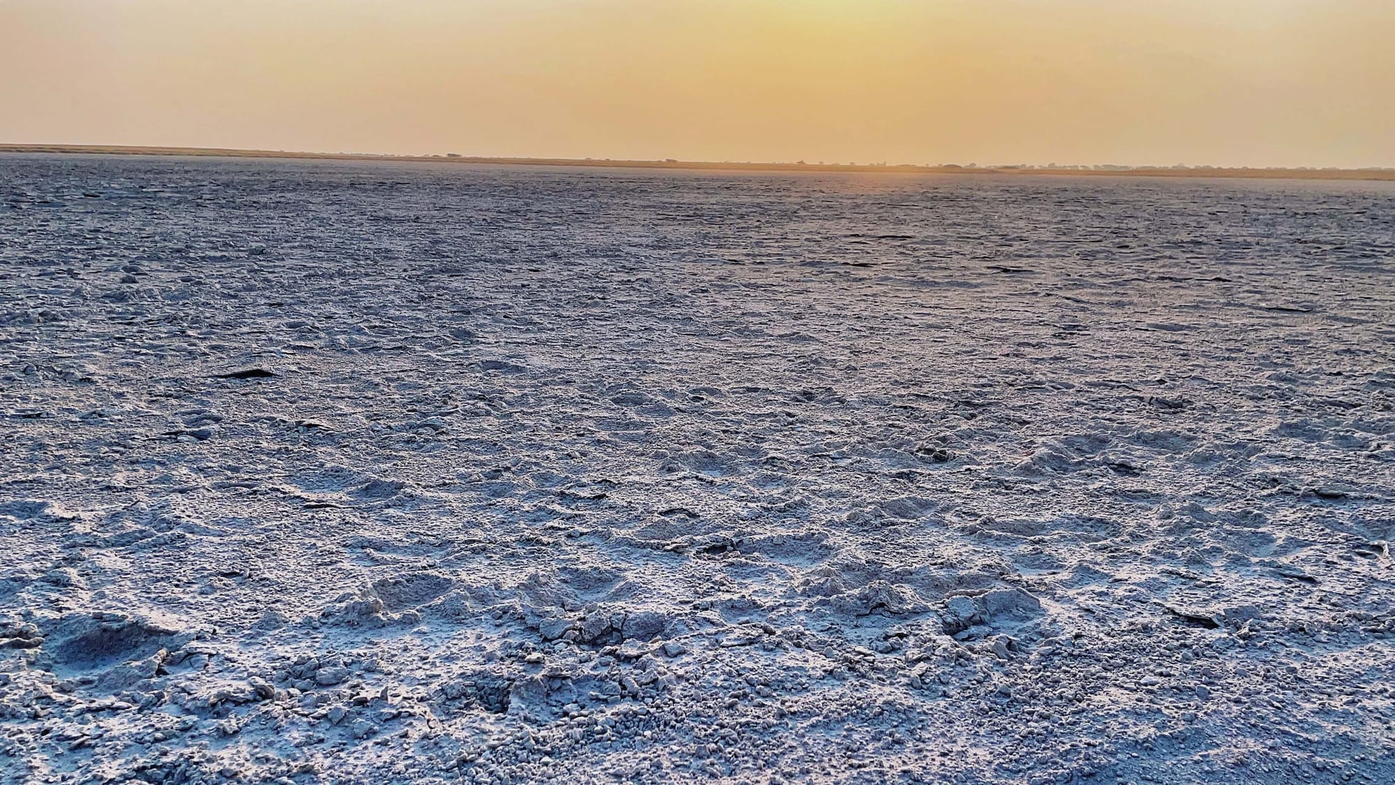 A Night on Botswana's Salt Pans: Meerkats, ATVs, and Stargazing