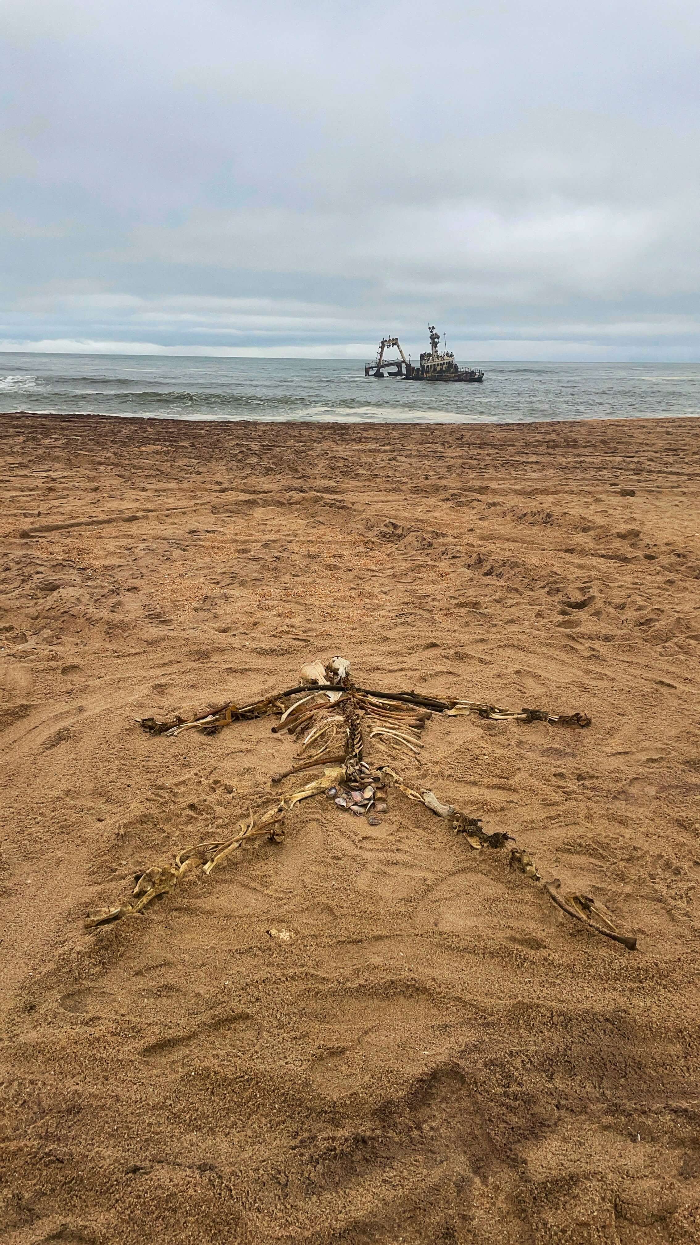 A fake skeleton in the sand, made of some bones and wooden wreckage.