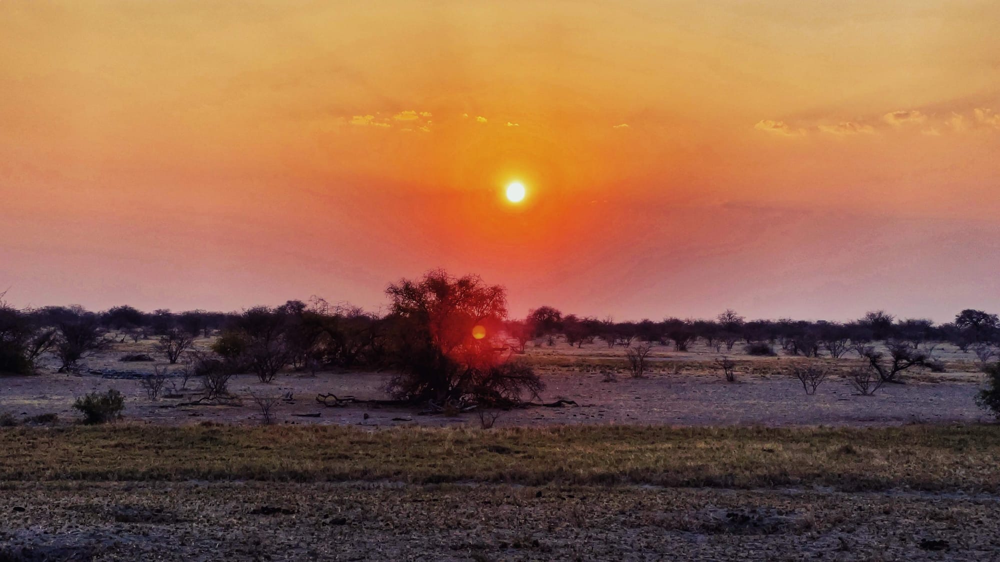 A Night on Botswana's Salt Pans: Meerkats, ATVs, and Stargazing
