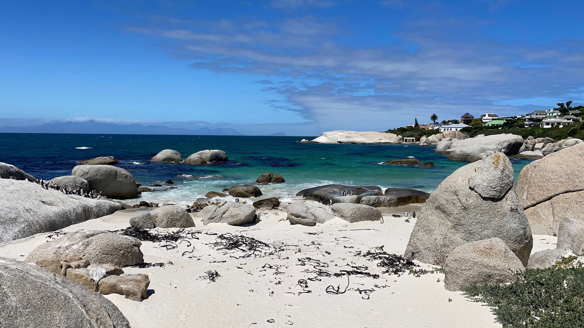 A wider view of Boulders Beach which shows many large boulders, and some penguins resting on top of them in the distance.