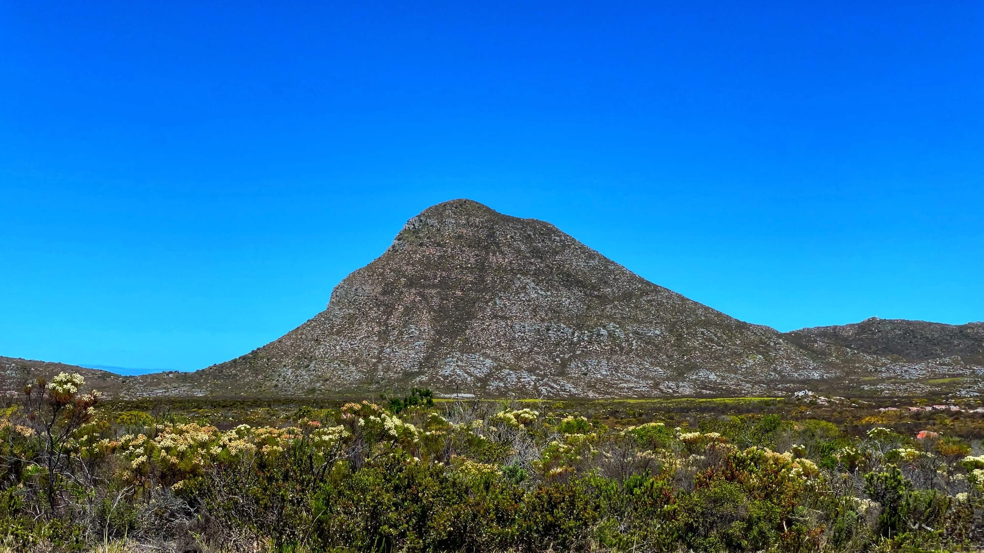 A unique, rocky hill that looks like a bell curve rises up from the wild landscape dotted with flowers.