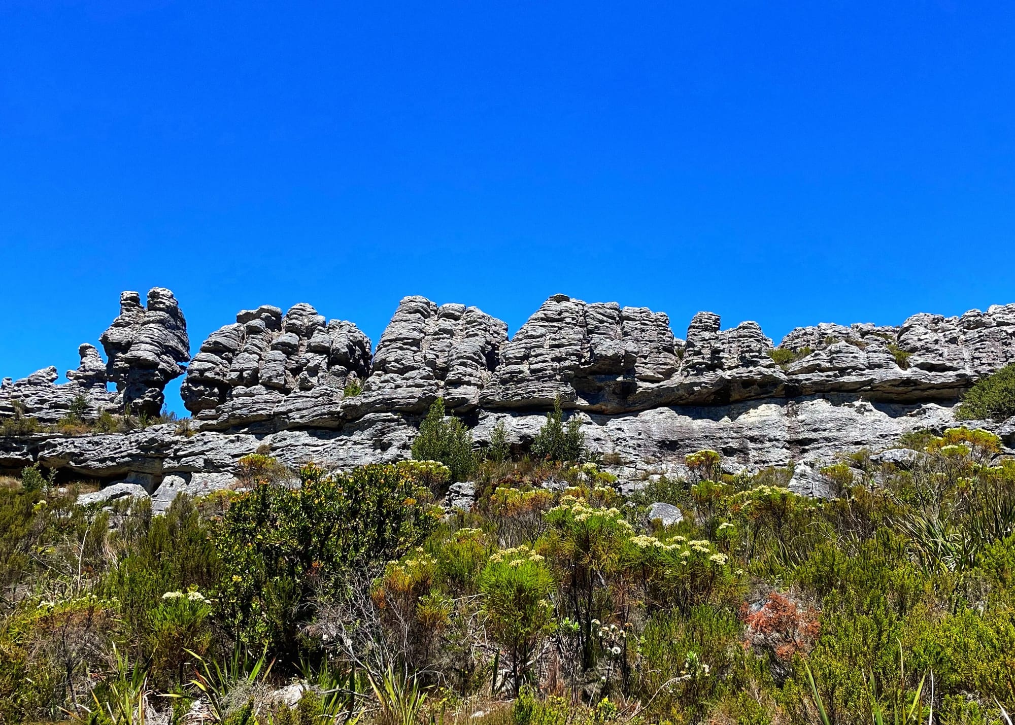 Flat rocks that form a wall like a castle, above green shrubbery.
