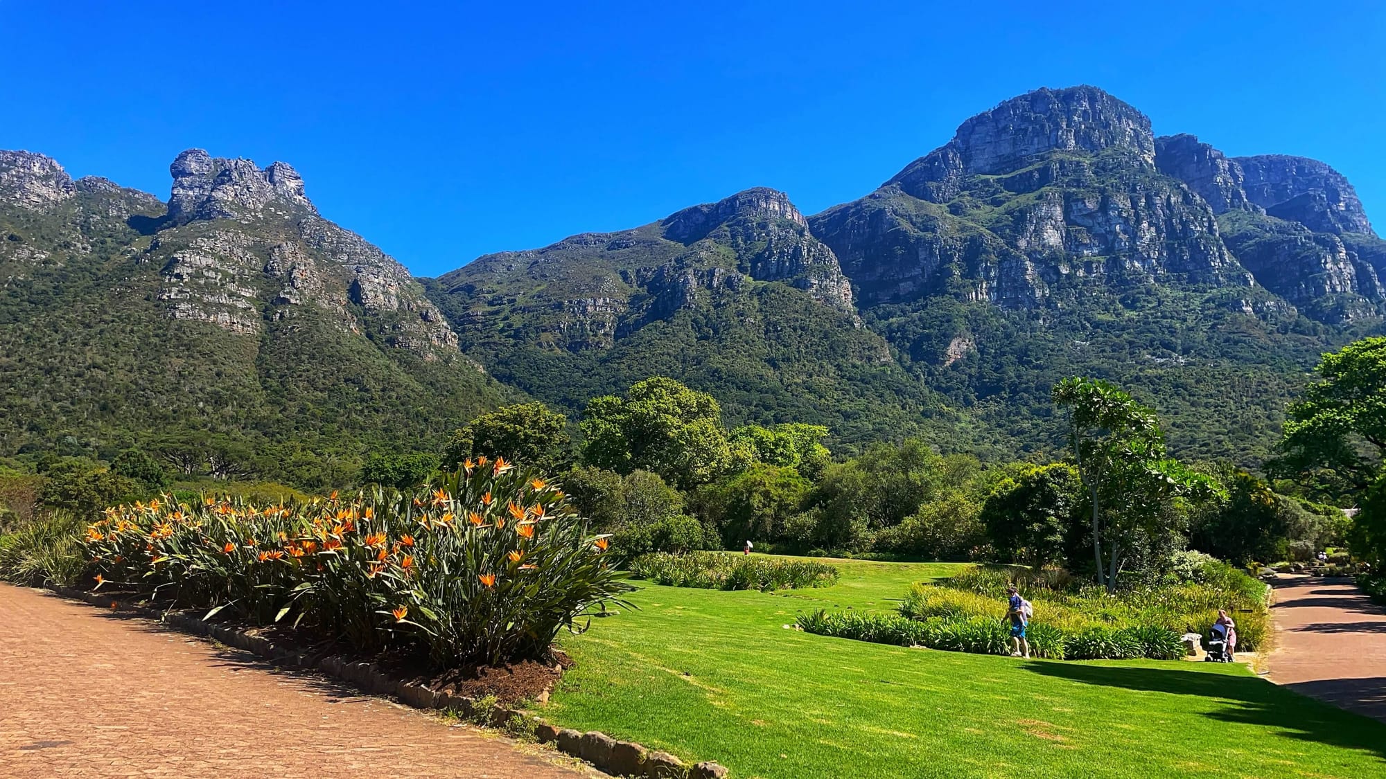 A green lawn, flowers, and trees in the foreground, with a distinct, flat mountain covered in greenery rising up in the background.