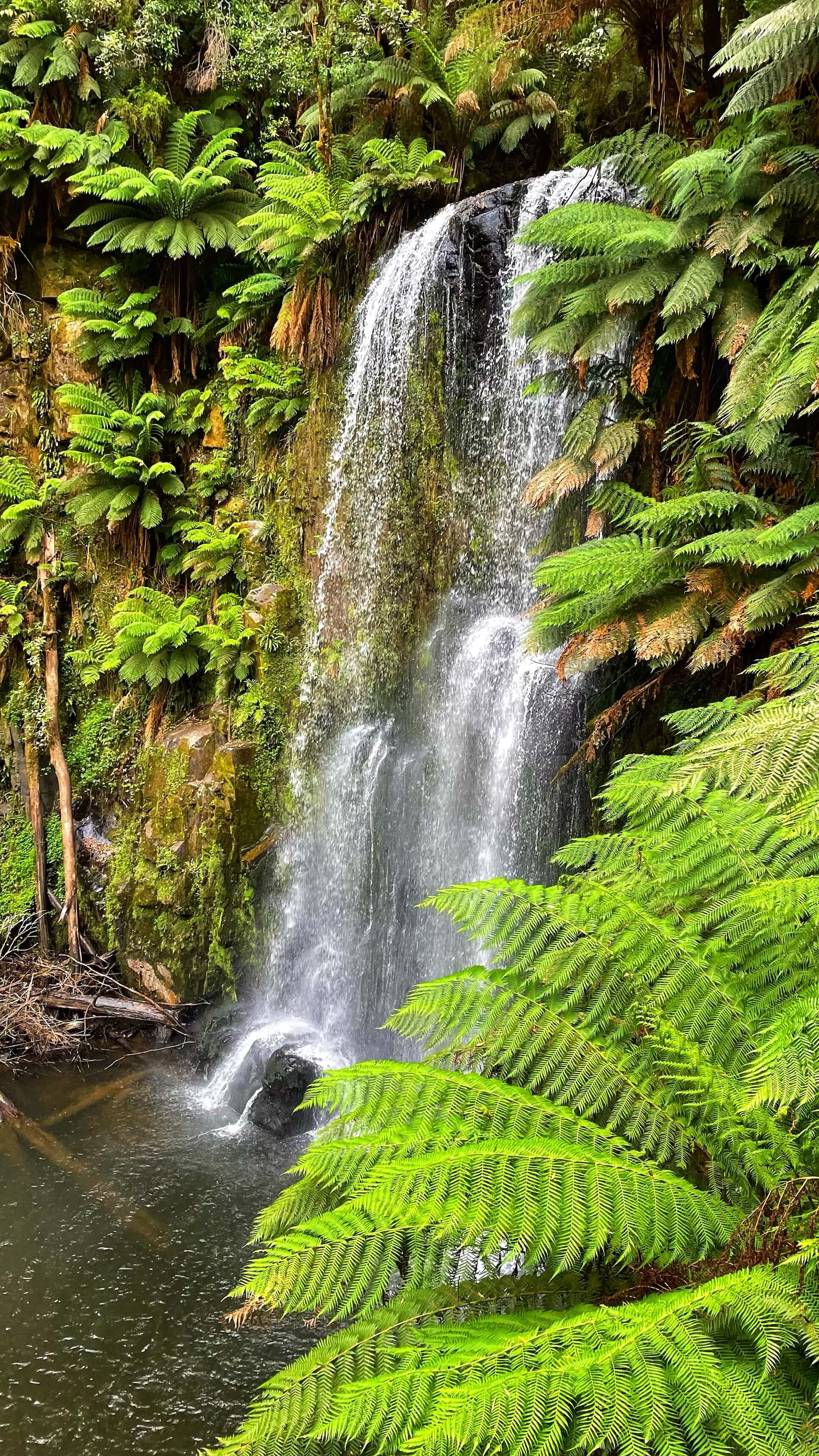 A tall waterfall cascades down a ledge covered with moss, surrounded by neon green palms.