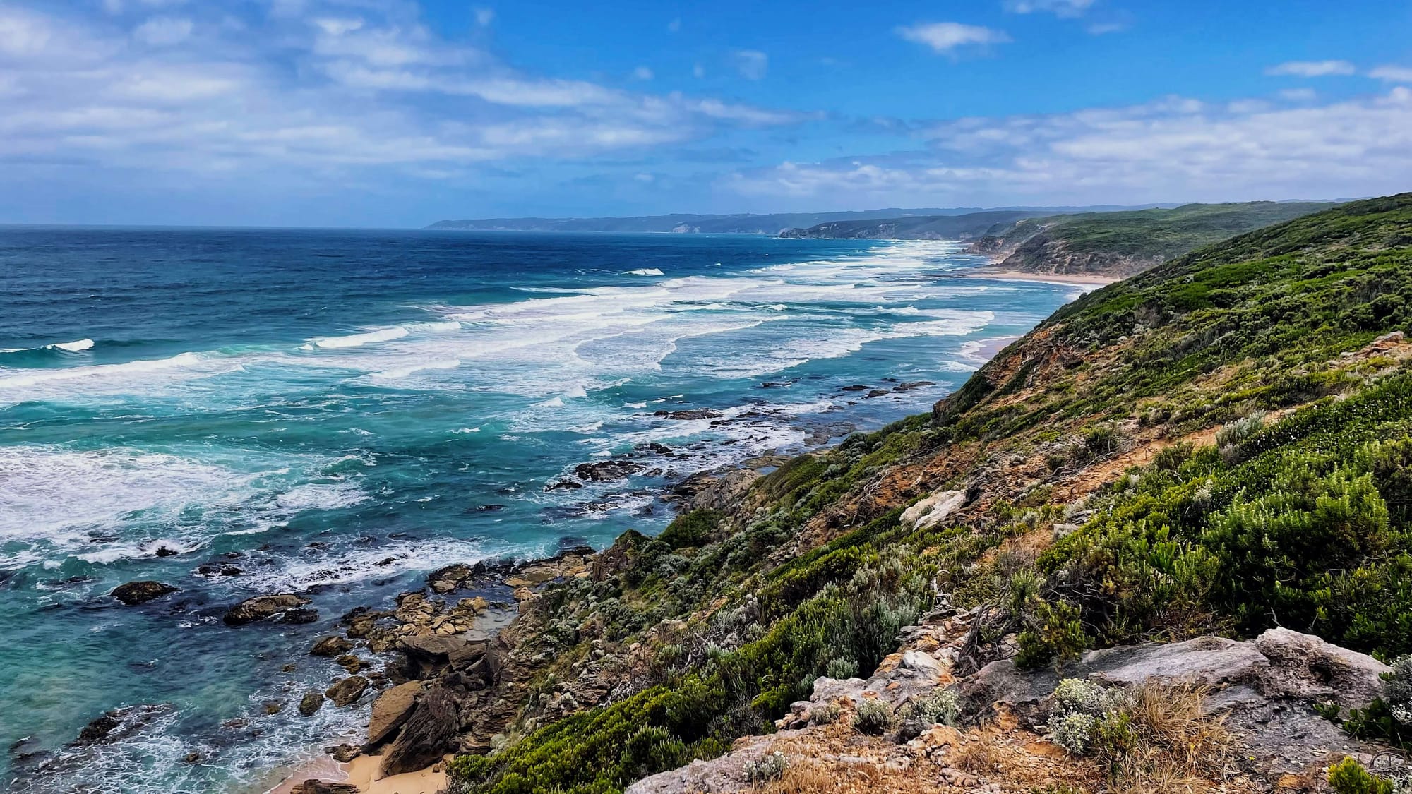 Green shrubs cascade down a cliff into the rocky edge of the ocean. The sky is blue with thin white clouds.