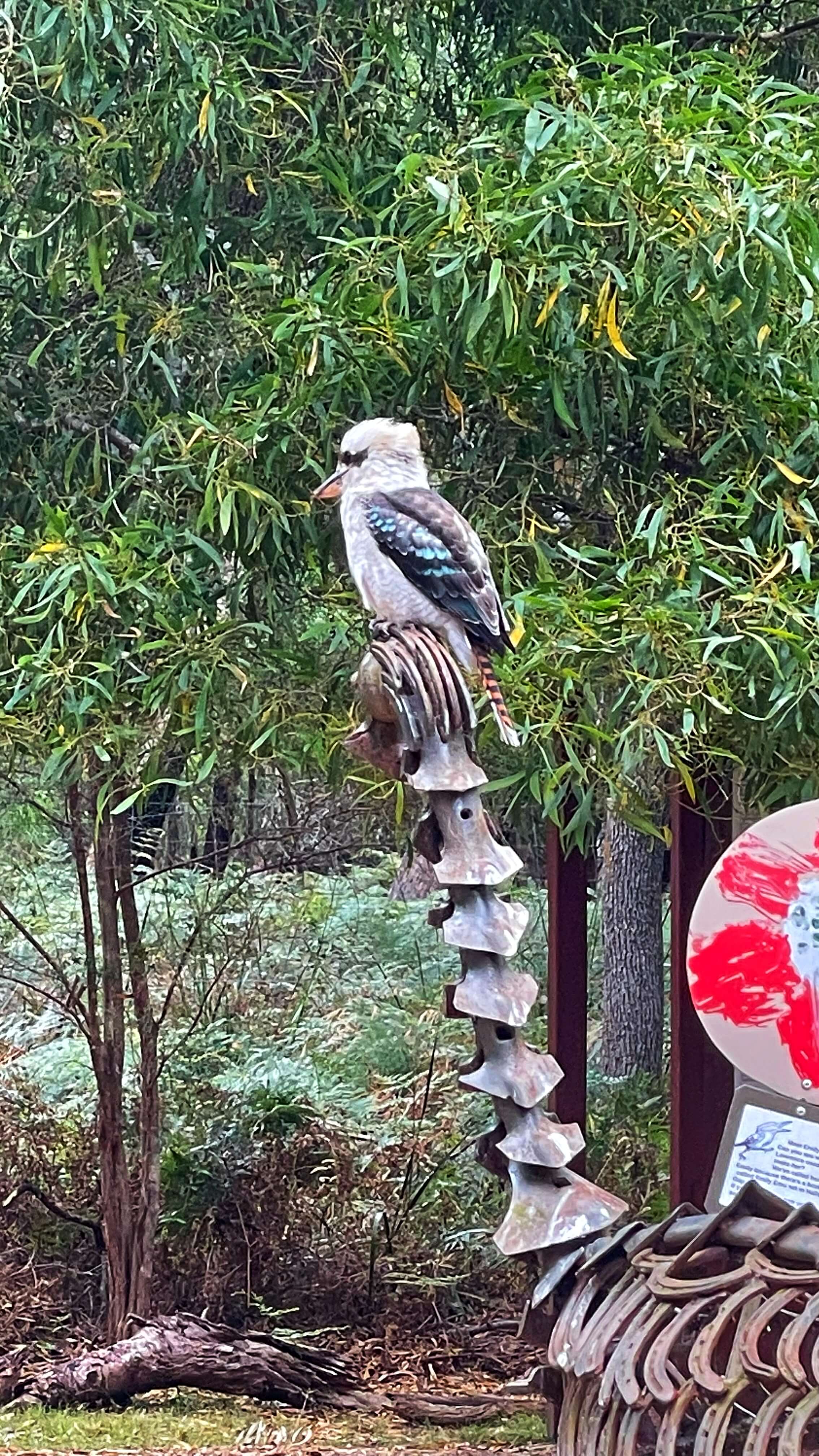 A white bird with a round head, unique big beak and blue and black wings sits on top of a metal sculpture.