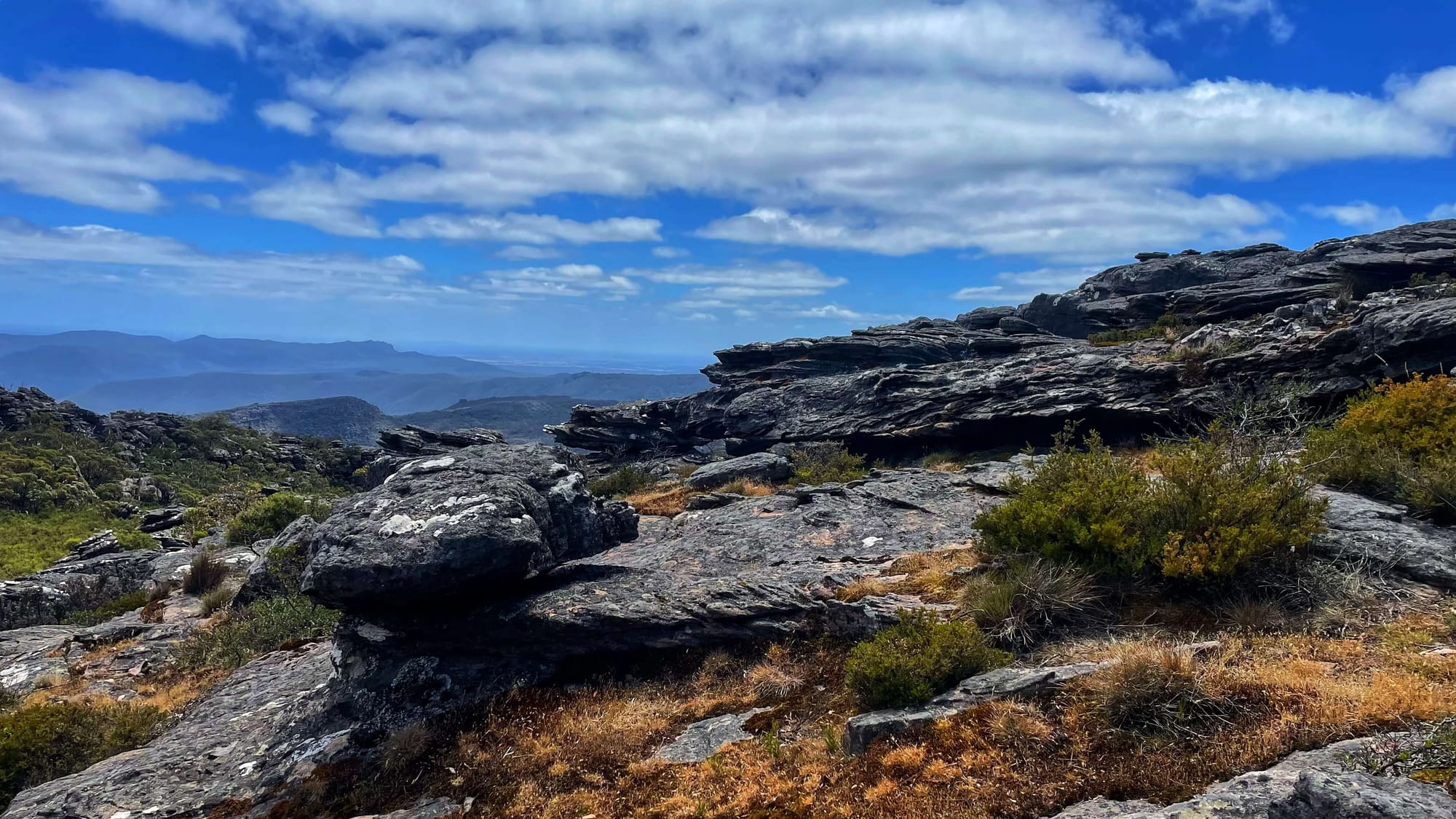 Brush interrups the flow of sandstone rocks high in the sky.