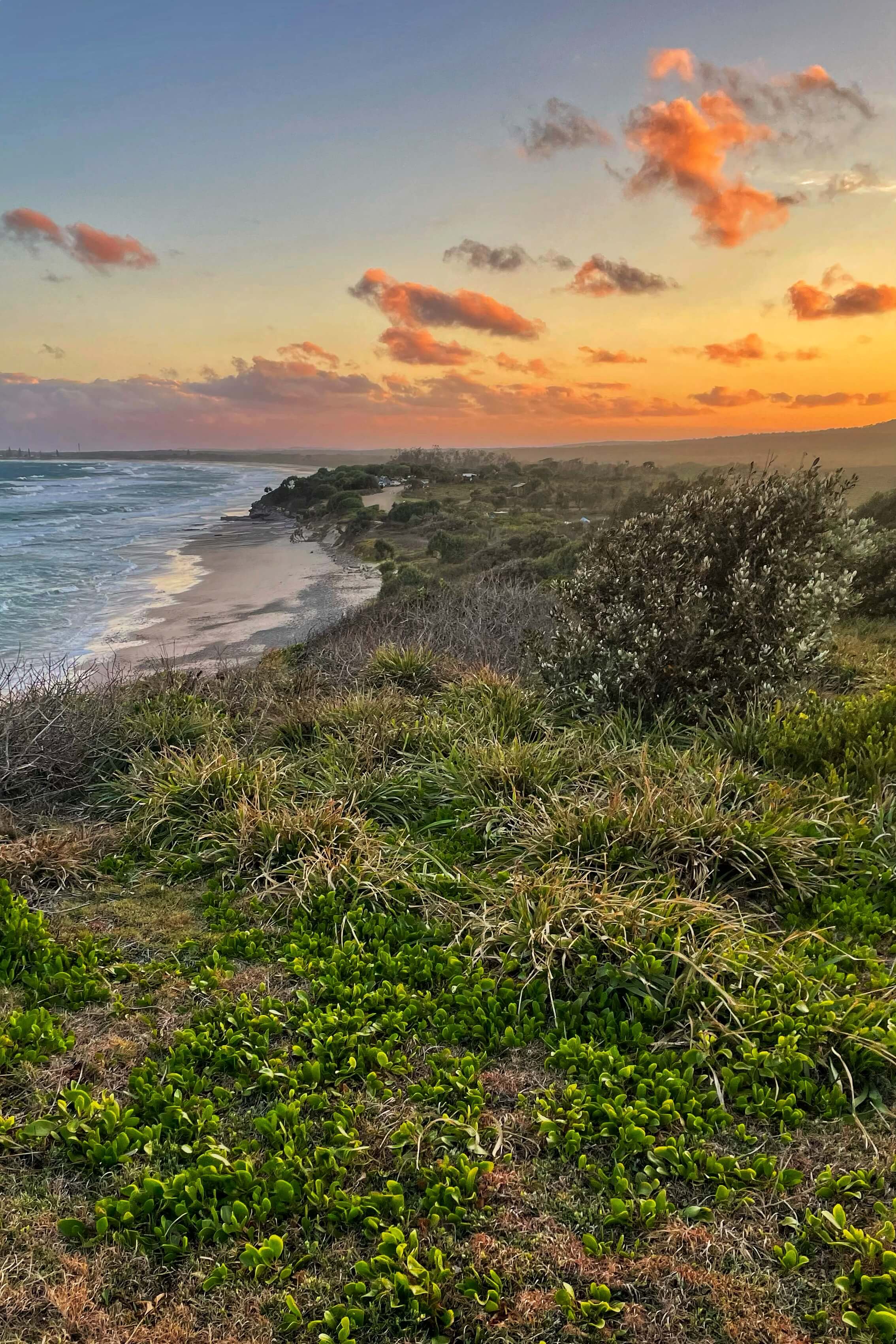 Green grasses, a white sand beach, and a darkening sunset, clouds deep orange.