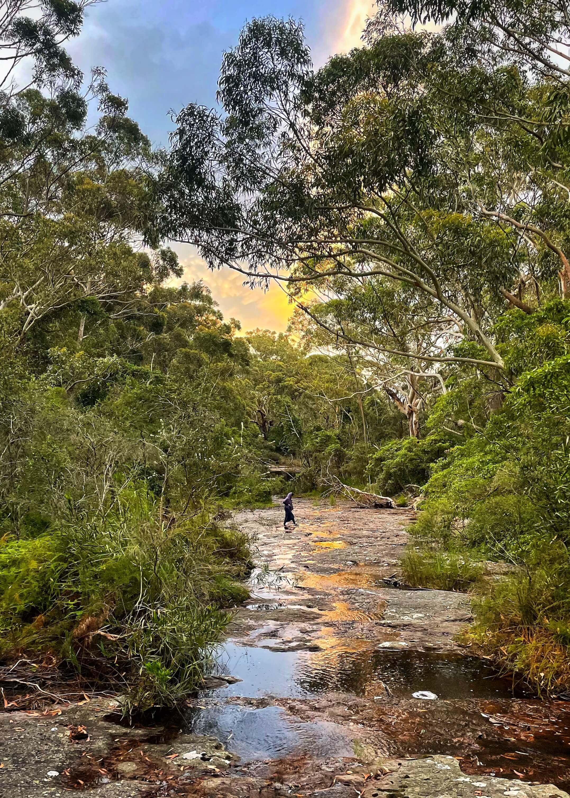 A woman crosses a mostly dry riverbed at sunset. The yellow sunlight light reflects in the small puddles, and the riverbed is surrounded by tall green trees.