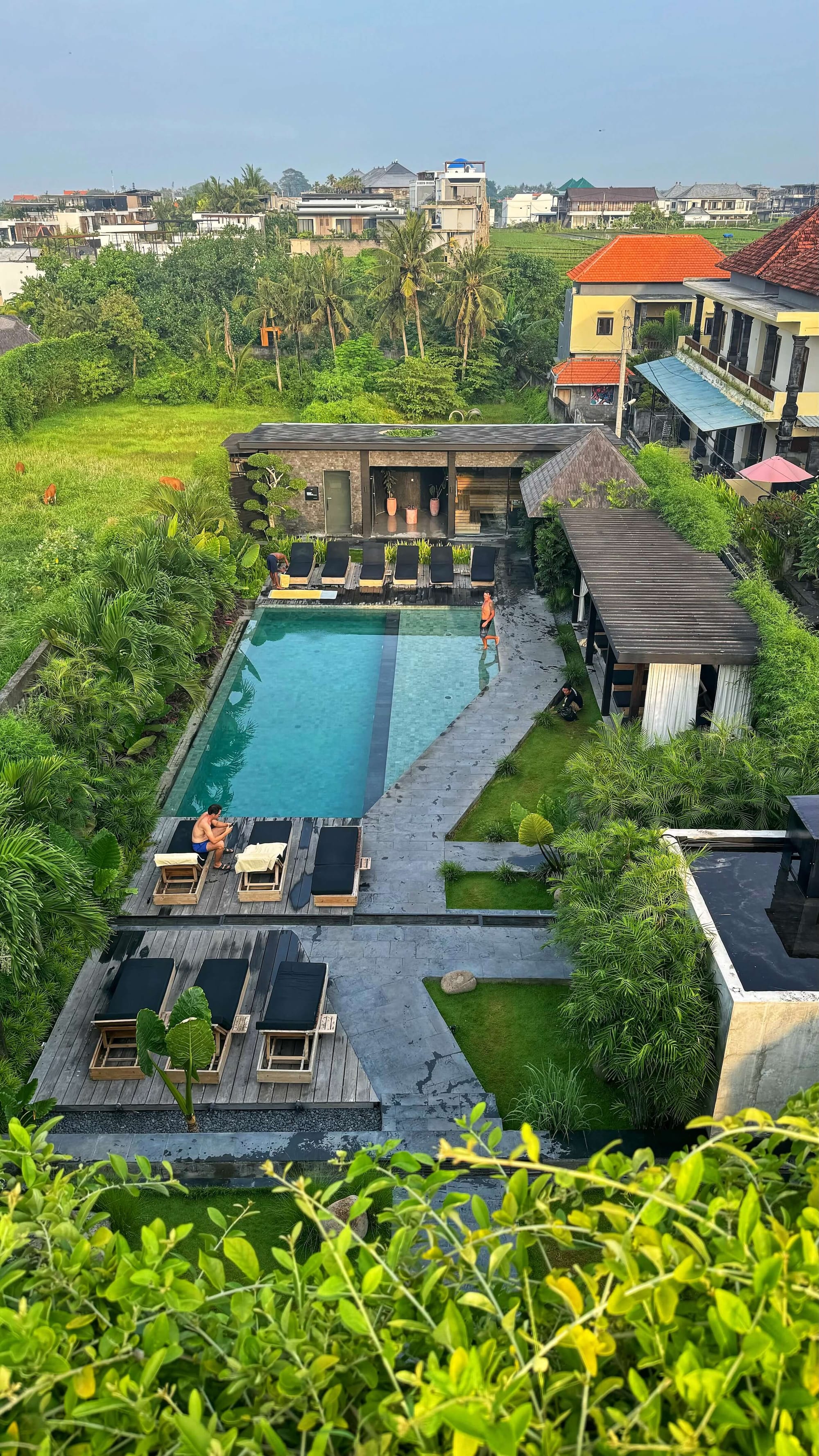 The same tropical pool area, from above. A shower area and sauna are visible, and villas and rice fields behind.