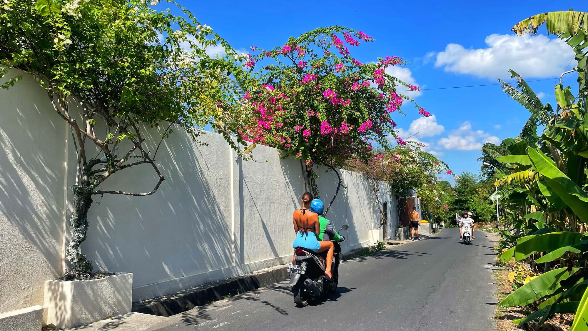 Scooters drive down a street lined by a white wall and tropical flowers on a sunny day.