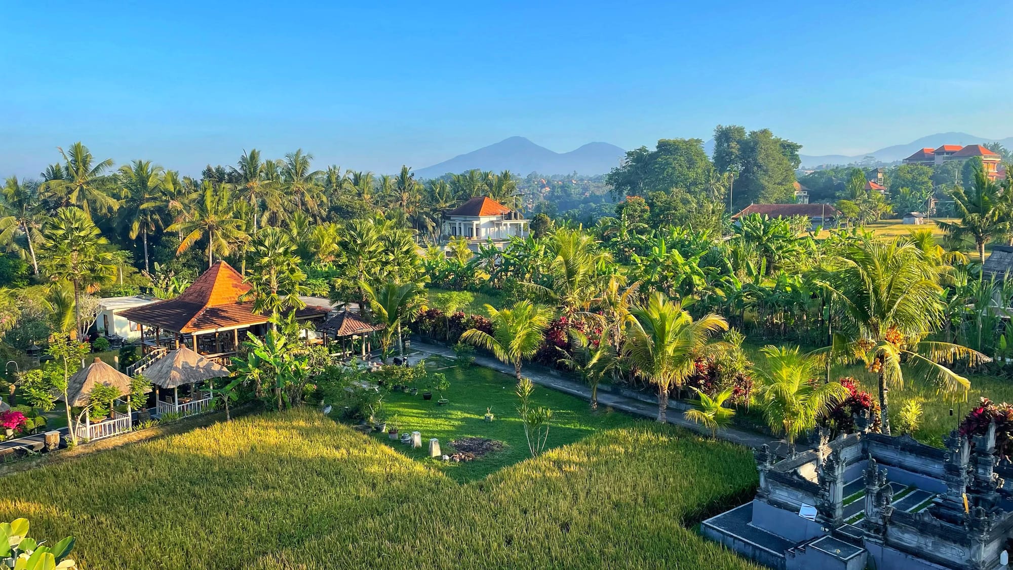 A view from above of traditional style houses in Bali, separated by fields and palm trees, with a double ridged mountain in the background.