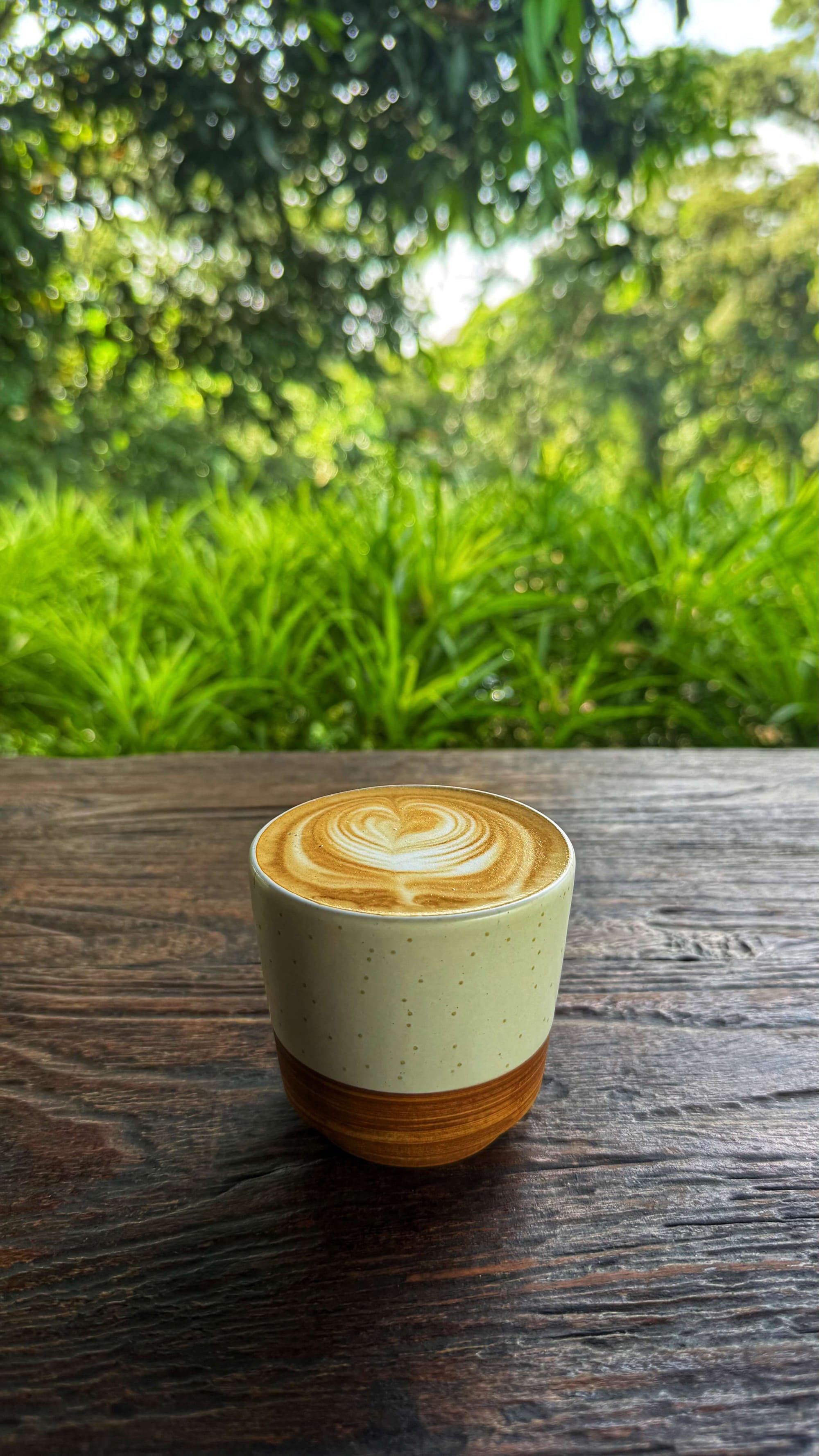 A latte with heart art on a wooden table in the lush green Bali jungle.
