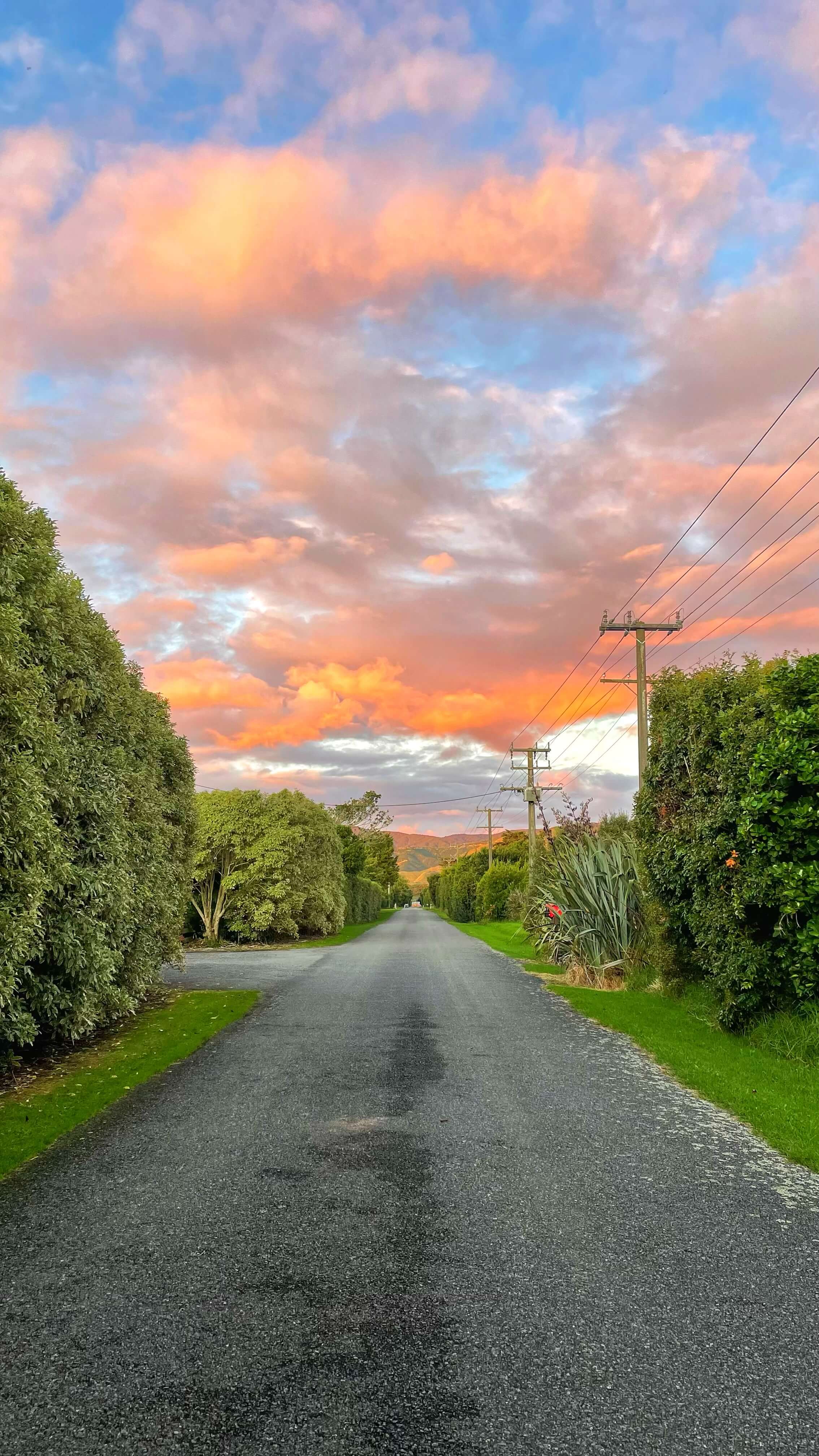 A sunset of pink and orange clouds over a rural gravel road lined with tall hedges and grass.