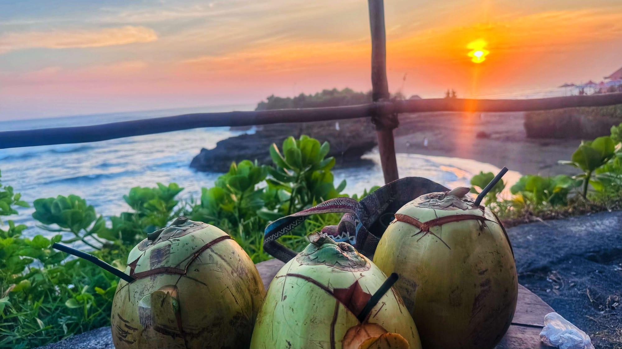 Three green coconuts on a clifftop overlooking a beach sunset.