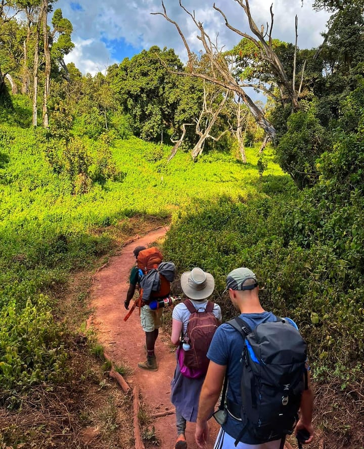 A guide and two hikers on a red dirt path in the jungle of East Africa.