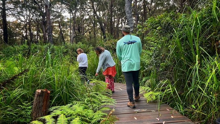 Three people walk along a wooden boardwalk in the forest looking at plants.