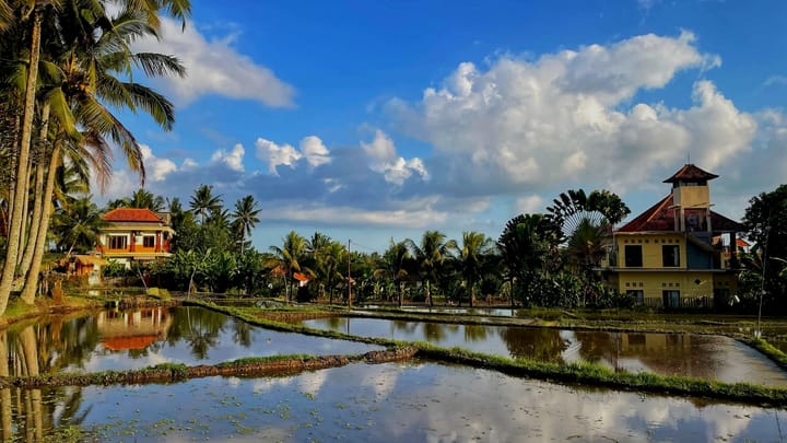 Flooded rice fields with villas on either side reflect the white clouds and blue sky.